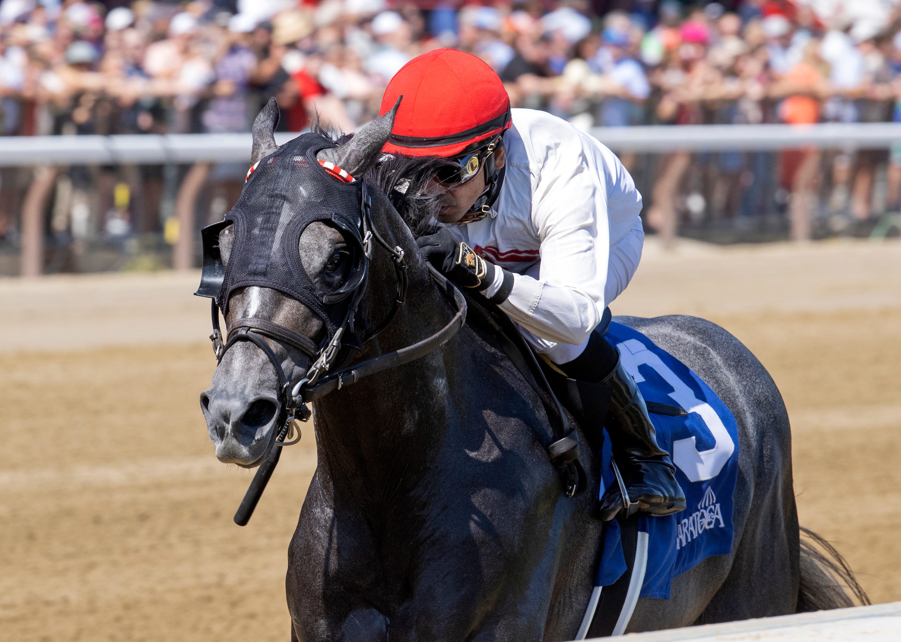 Dornoch, Mage's little brother, has shot in Sapling